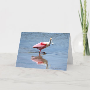 Spoonbill-5-05 Karte