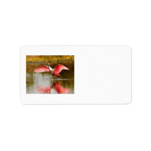 Spoonbill Adressaufkleber