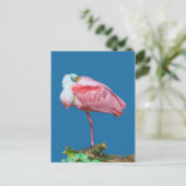 Spoonbill auf einer Leg-Postkarte Postkarte (Stehend Vorderseite)