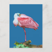 Spoonbill auf einer Leg-Postkarte Postkarte (Vorderseite)