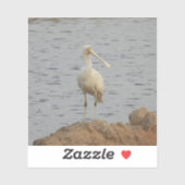 Spoonbill Bird Aufkleber (Blatt)