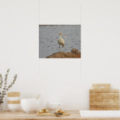 Spoonbill Bird Poster (Küche)