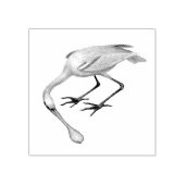 Spoonbill Birds Vintag Illustrations Gummistempel (Prägung)