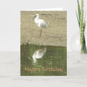 Spoonbill Birthday Card Karte