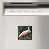 Spoonbill Magnet (In Situ (Geschirrspüler))