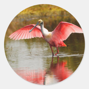 Spoonbill Runder Aufkleber