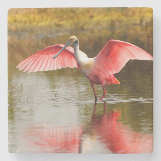 Spoonbill Steinuntersetzer (Vorderseite)