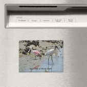 Spoonbill und Waldstorch in freier Wildbahn Magnet (In Situ (Geschirrspüler))