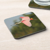 Spoonbill Untersetzer (Linke Seite)