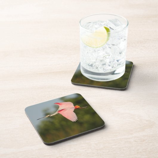 Spoonbill Untersetzer (Rechte Seite)