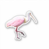 Spoonbill Vinyl Sticker (Vorderseite)