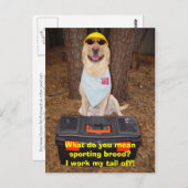 Sportliche Rasse? Postkarte (Vorne/Hinten)