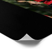 SPORTLINIENSAMMLUNG POSTER (Ecke)