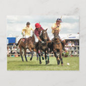 SPORTPFERDE POSTKARTE (Vorderseite)