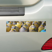 Sporttauchen-Ausrüstungs-Autoaufkleber Autoaufkleber (Auf Auto)