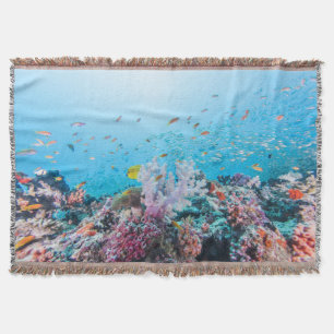 Sporttauchen mit buntem Riff und Koralle Decke