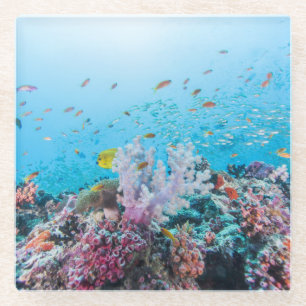 Sporttauchen mit buntem Riff und Koralle Glasuntersetzer