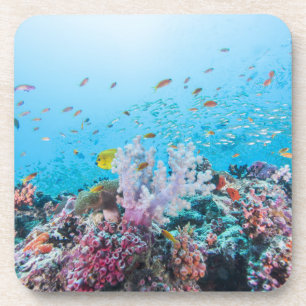 Sporttauchen mit buntem Riff und Koralle Untersetzer