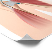 Sportverletzung Schulterstoß Poster (Ecke)