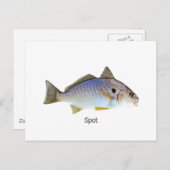 Spot Fish Foto Postkarte (Vorne/Hinten)