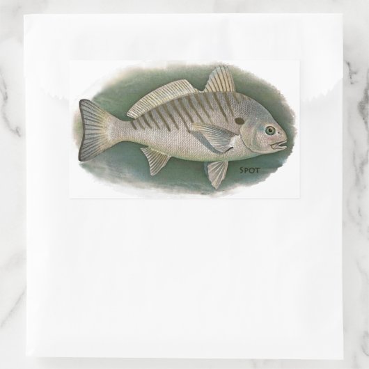 Spot Fish Logo Rechteckiger Aufkleber (Tasche)
