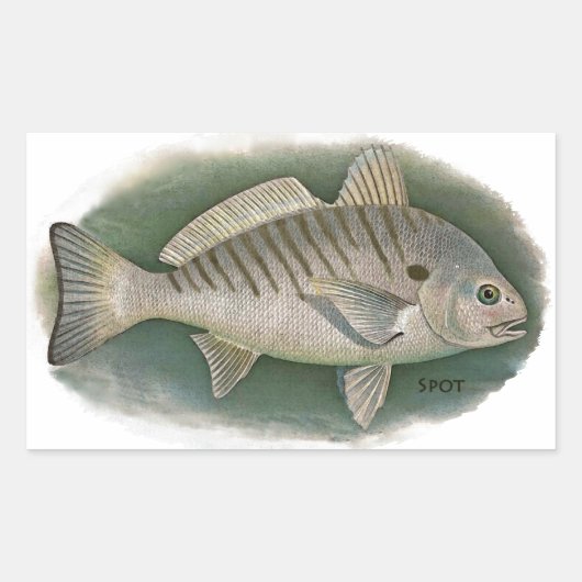 Spot Fish Logo Rechteckiger Aufkleber (Vorderseite)