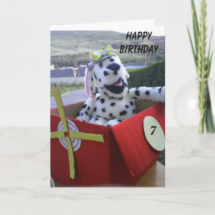 Spot fliegt seine Fantasie Karte