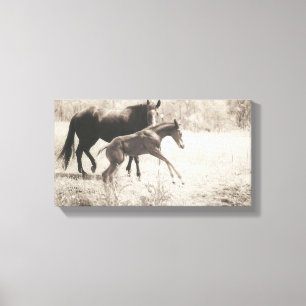 Spot Players Leinwanddruck