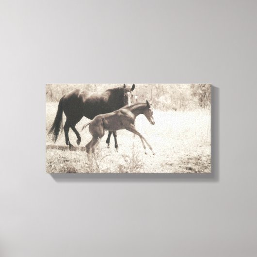 Spot Players Leinwanddruck (Vorderseite)