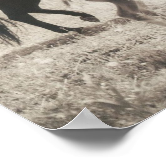 Spot Players Poster (Ecke)