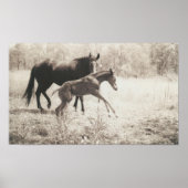 Spot Players Poster (Vorne)