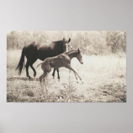 Spot Players Poster (Vorne)