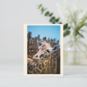 Spot Postkarte (Stehend Vorderseite)