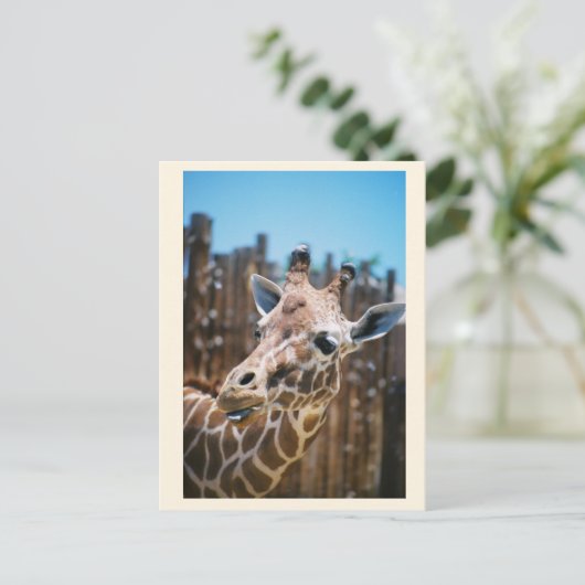 Spot Postkarte (Stehend Vorderseite)