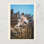 Spot Postkarte (Vorderseite)