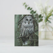 Spot the Owl Postcard 02 Postkarte (Stehend Vorderseite)