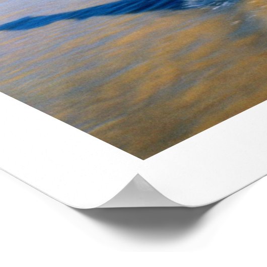 SPOTEN SIE DEN DALMATINER-HUND POSTER (Ecke)