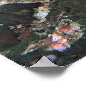 Spotfin Lionfish II Poster (Ecke)