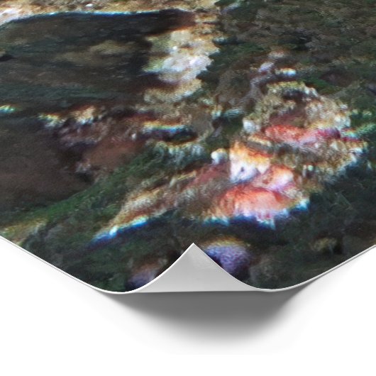 Spotfin Lionfish II Poster (Ecke)