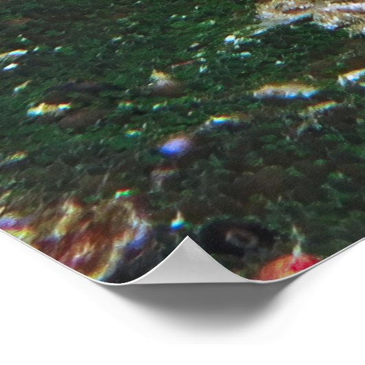 Spotfin Lionfish Poster (Ecke)