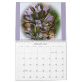 Spotlight auf dem Springtime-Wildblumen-Kalender Kalender (Jan 2027)