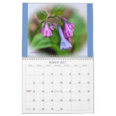 Spotlight auf dem Springtime-Wildblumen-Kalender Kalender (Mär 2027)
