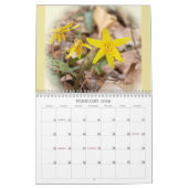 Spotlight auf dem Springtime-Wildblumen-Kalender Kalender (Feb 2026)