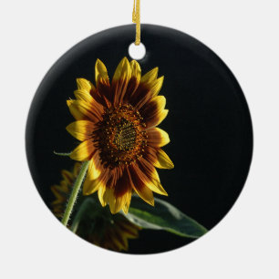 Spotlight auf einer schönen Sonnenblume Keramik Or Ornament