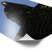 Spotlight Fotodruck (Ecke)