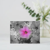 Spotlight Postkarte (Stehend Vorderseite)