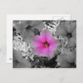 Spotlight Postkarte (Vorne/Hinten)