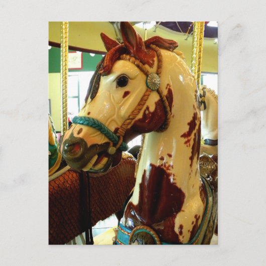 Spots Postkarte (Vorderseite)