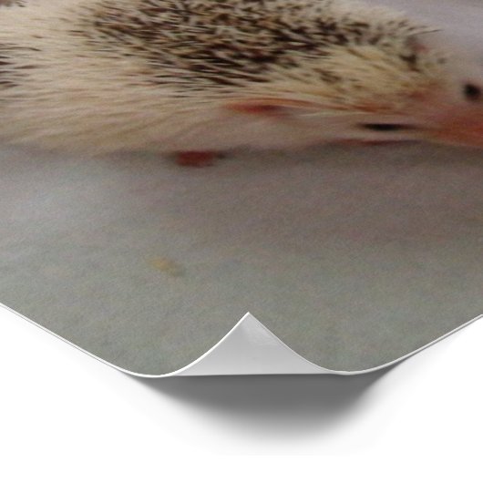 Spots sehen? Plakat (Ecke)