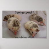 Spots sehen? Plakat (Vorne)